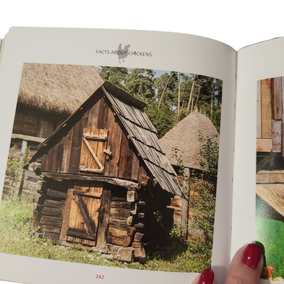 Cool Chickens Book NEW By Fern Collins - Picture 12 of 14